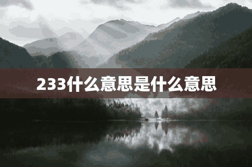 233什么意思是什么意思